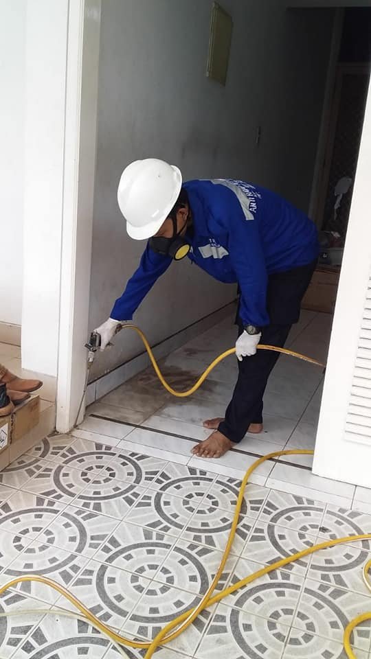 Jasa Anti Rayap di The Icon Eastern Cosmo BSD City Serpong Tangerang selatan