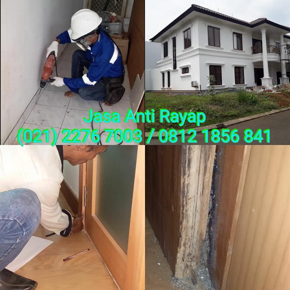 Jasa Anti Rayap di Jakarta Barat