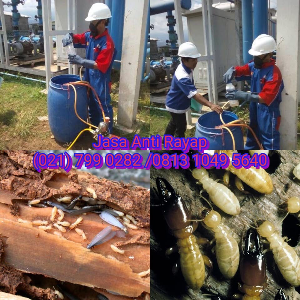 Jasa Anti Rayap BSD