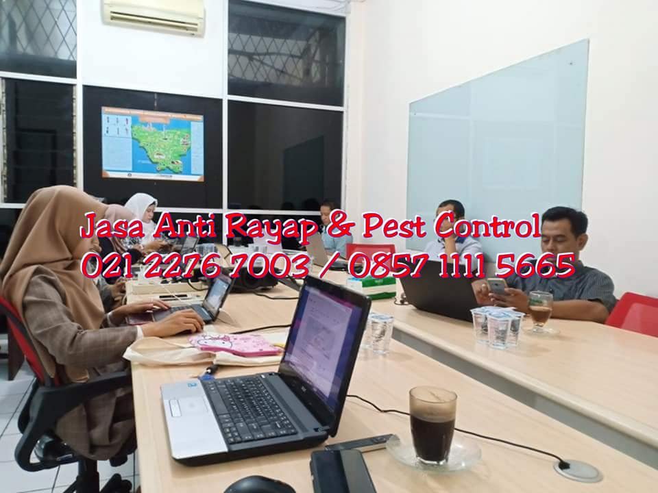Jasa Anti Rayap di Jakarta Timur