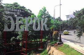 Jasa Anti Rayap di Depok