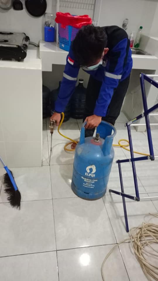 Kenapa Rayap Menyerang Rumah Tinggal dan Bangunan