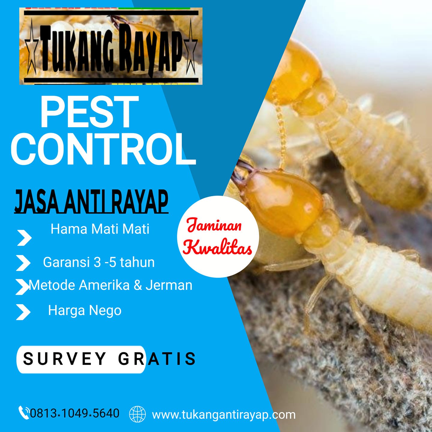 Anti Rayap Umpan yang Mudah di makan Rayap dan Dapat Mengeliminasi Ratu Rayap