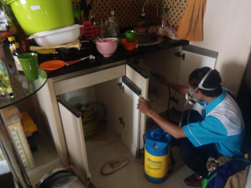 Basmi Rayap Tanah di Bangunan Rumah Tinggal