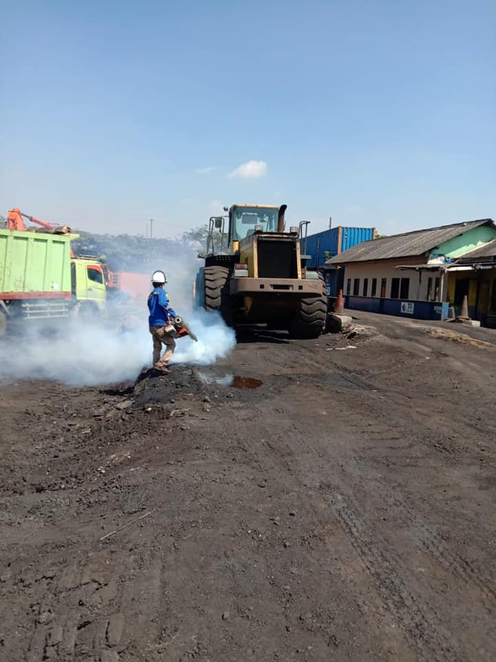 Tukang Fogging Nyamuk DBD