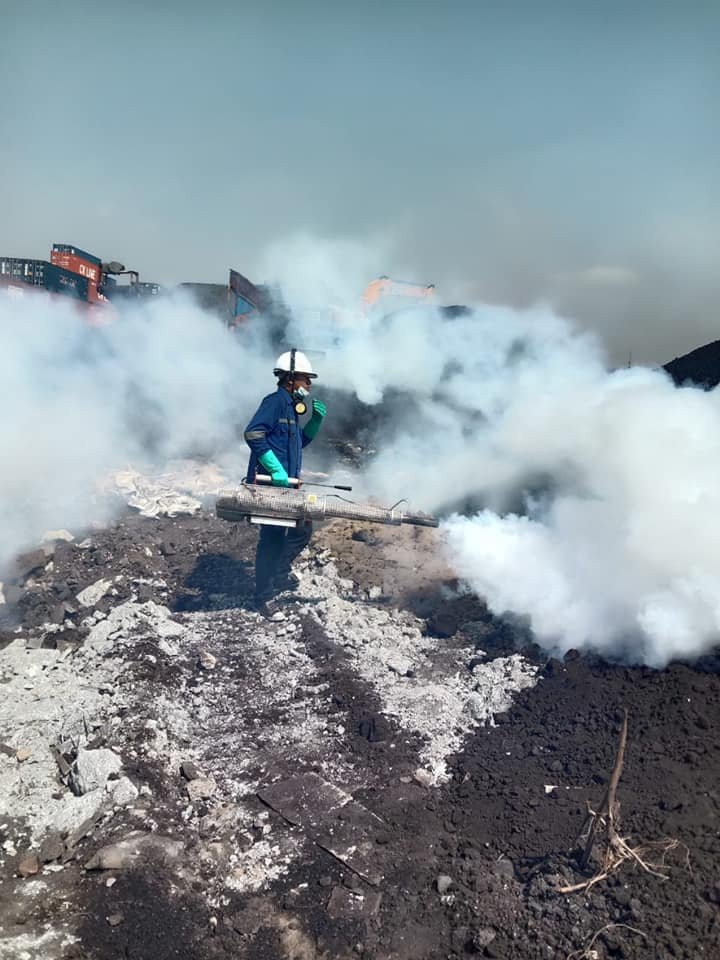 Jasa Nyamuk DBD 0813-1049-5640