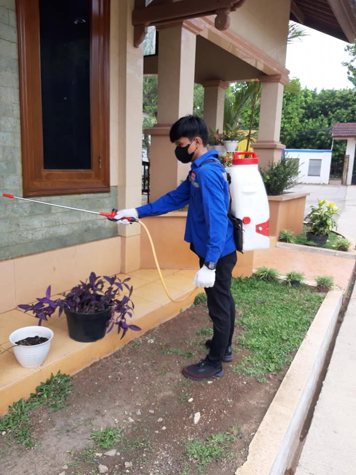 Biaya Jasa Anti Rayap