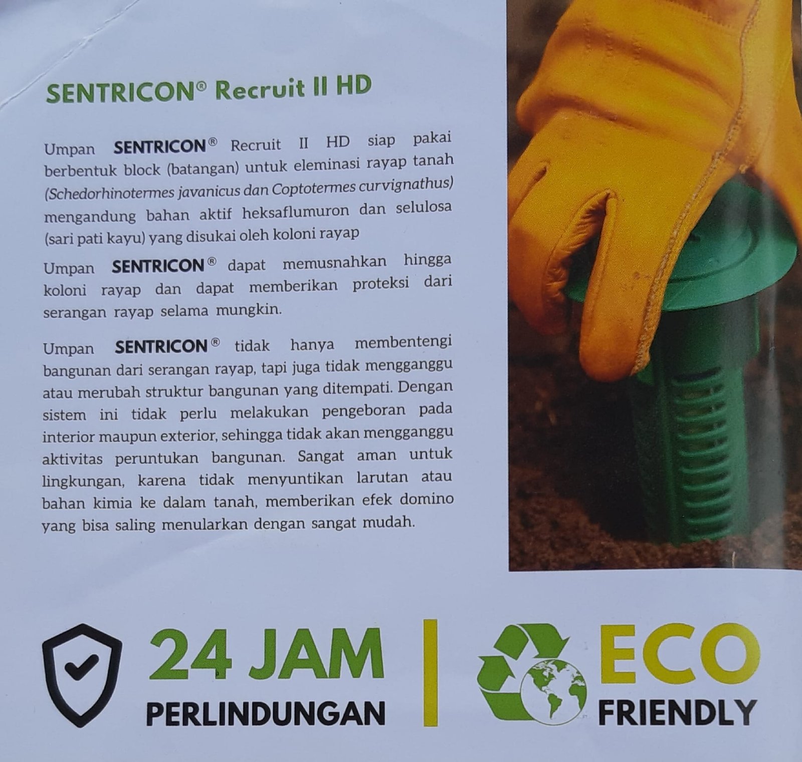 Tip Bebas Dari Serangan Hama Rayap, Metode dan Cara Basmi