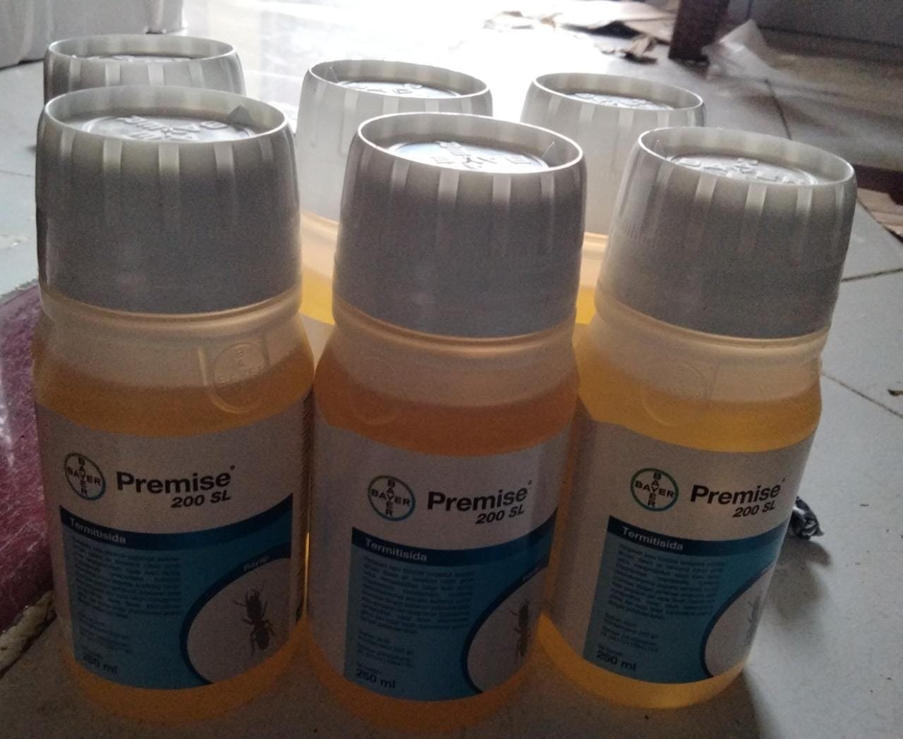 Distra Pest Control | Special Basmi Rayap, Basmi Kecoa, Basmi Serangga dan Basmi Tikus