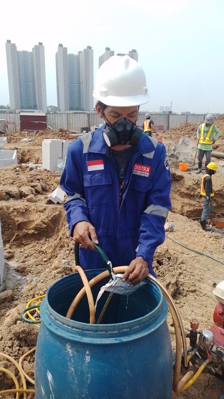 Obat anti rayap terbaik