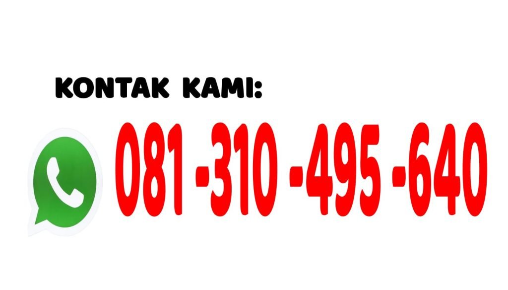 Jasa Anti Rayap Termurah