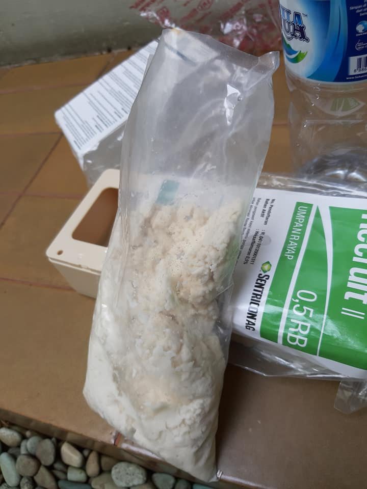 Pemasangan Umpan Anti Rayap Distra Pest Control