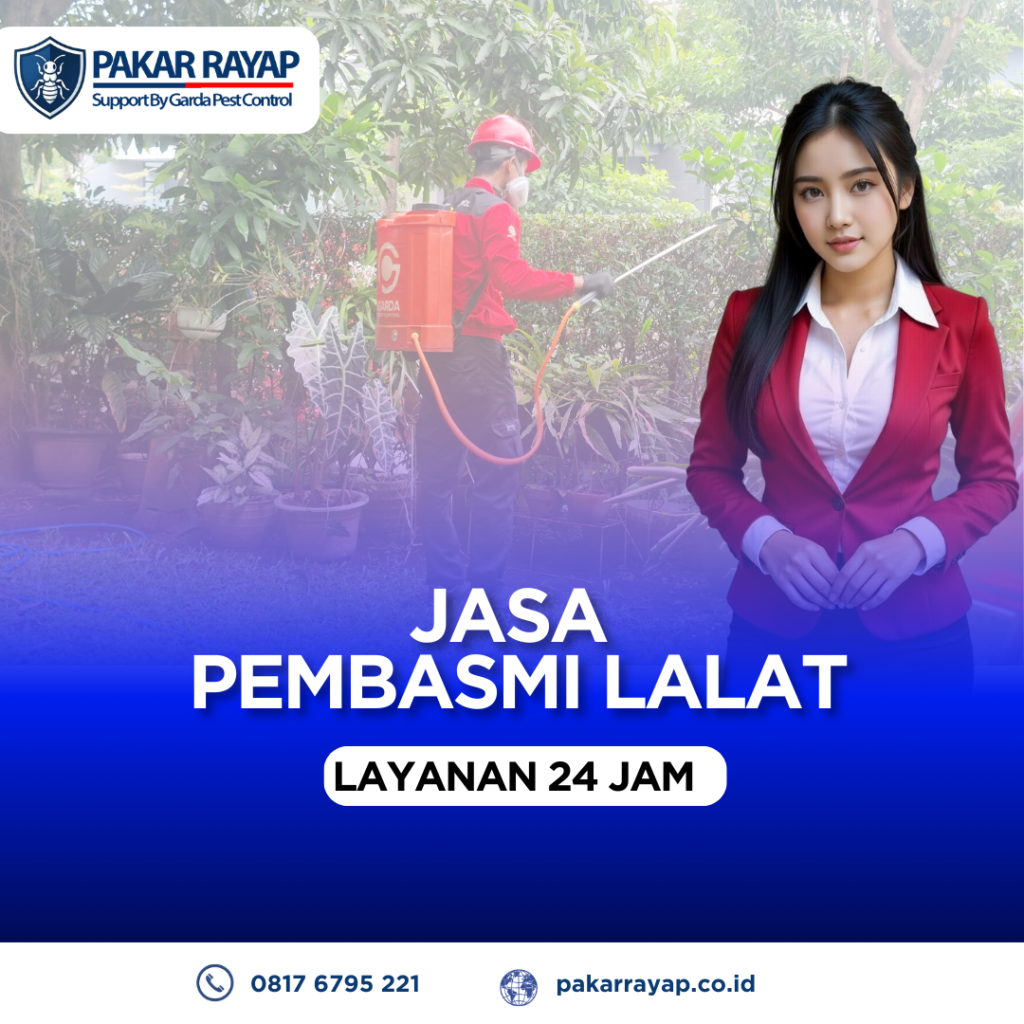 Jasa Pembasmi Lalat untuk Rumah, Kantor & Tempat Usaha