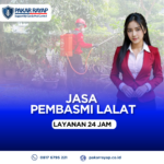 Jasa Pembasmi Lalat untuk Rumah, Kantor & Tempat Usaha