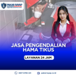 Jasa Pembasmi Tikus di Rumah, Kantor & Tempat Usaha